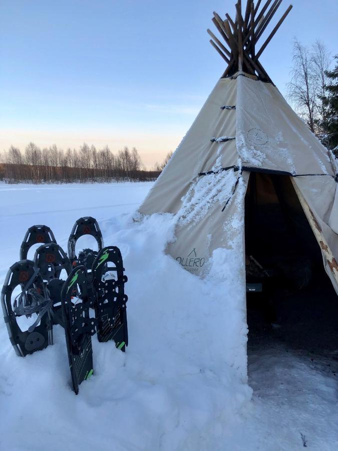 Ollero Eco Lodge Rovaniemi Dış mekan fotoğraf