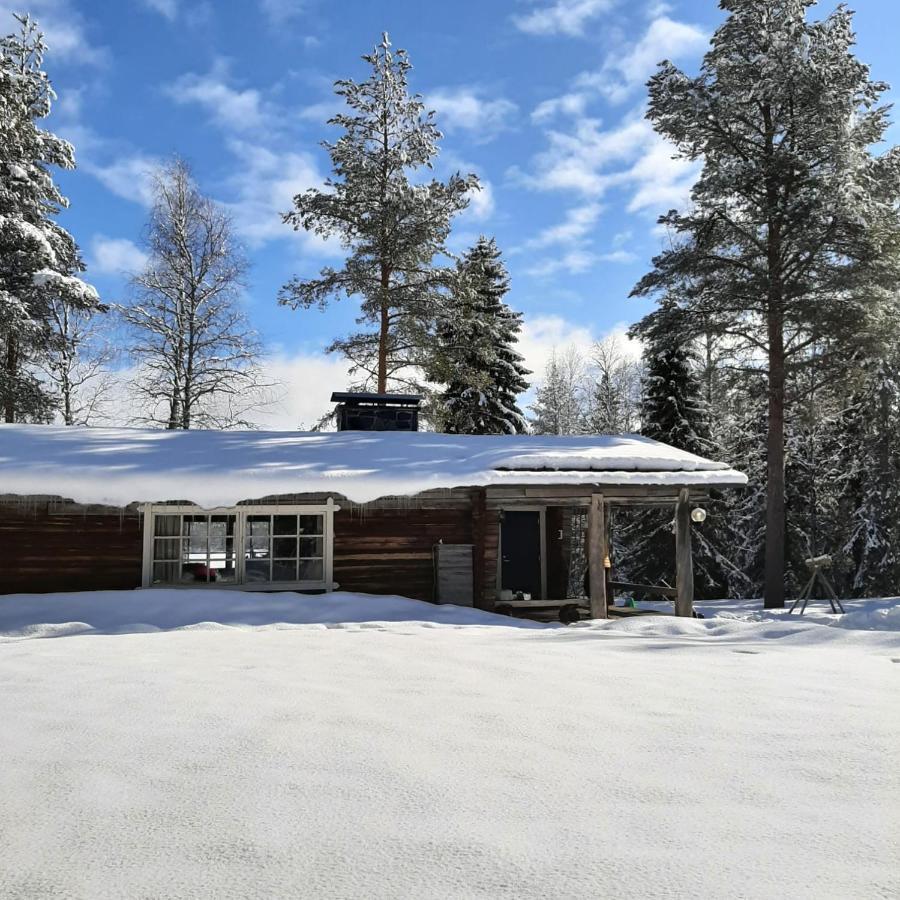 Ollero Eco Lodge Rovaniemi Dış mekan fotoğraf