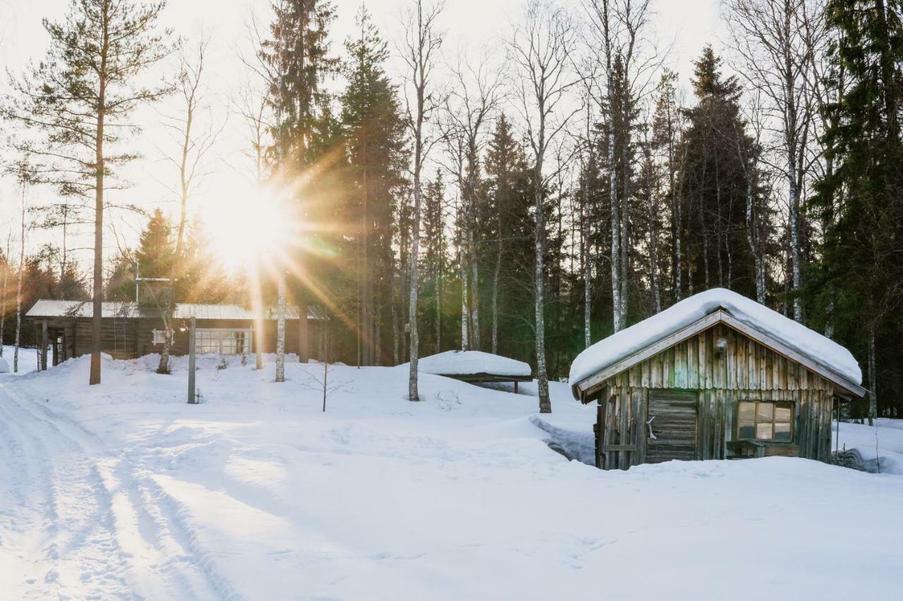 Ollero Eco Lodge Rovaniemi Dış mekan fotoğraf