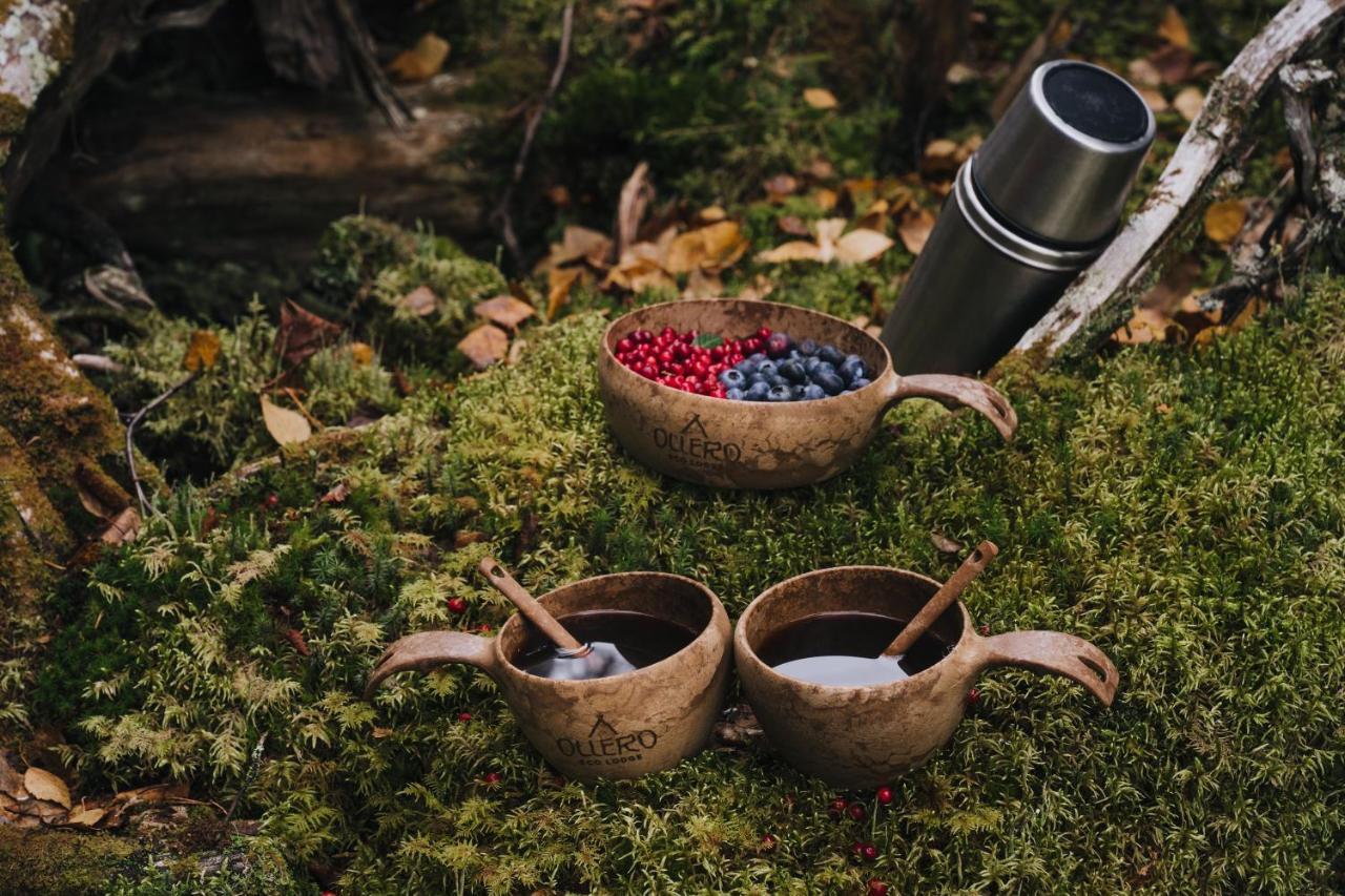 Ollero Eco Lodge Rovaniemi Dış mekan fotoğraf
