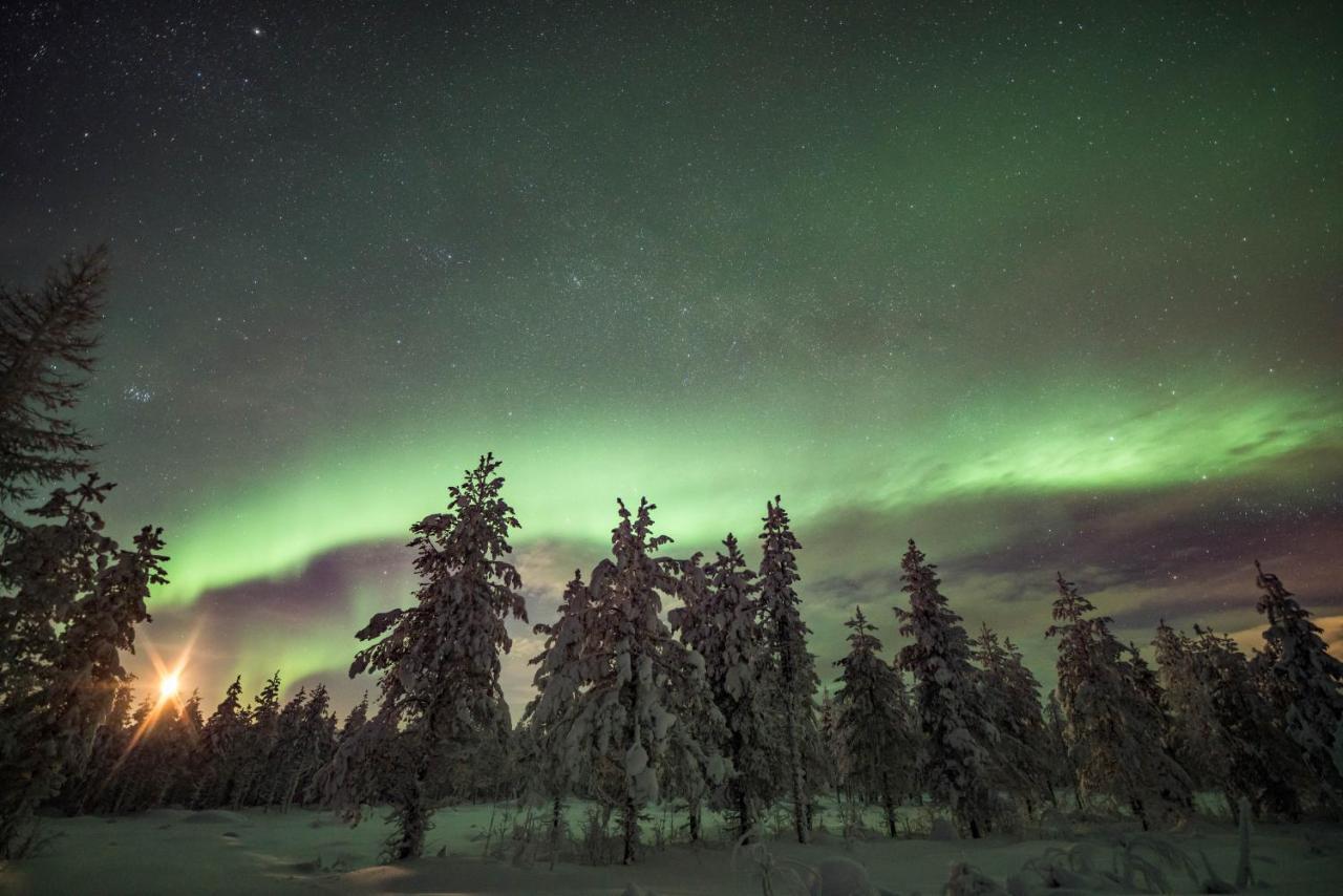 Ollero Eco Lodge Rovaniemi Dış mekan fotoğraf